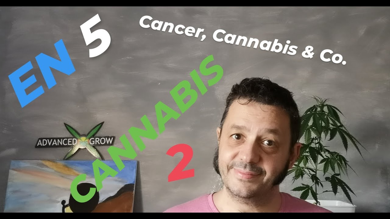 How to use Medicinal Cannabis. Vaporizer Volcano.