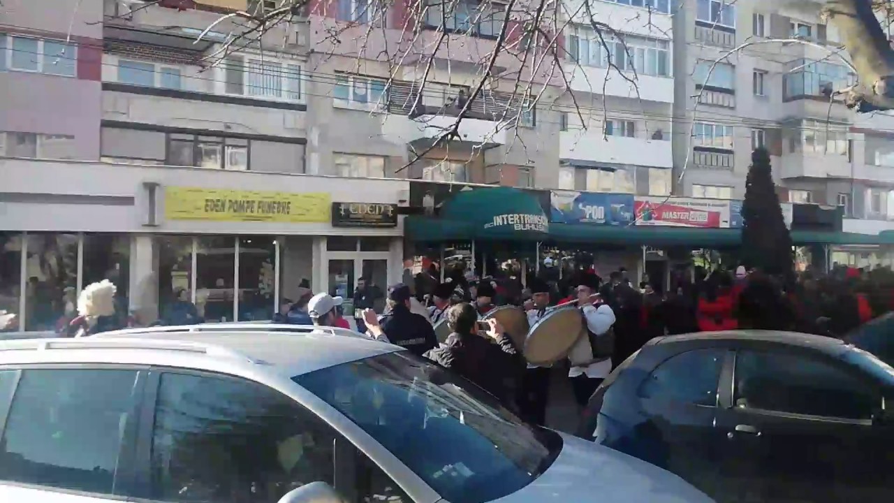 Ursii din Comanesti la Buhusi 2016