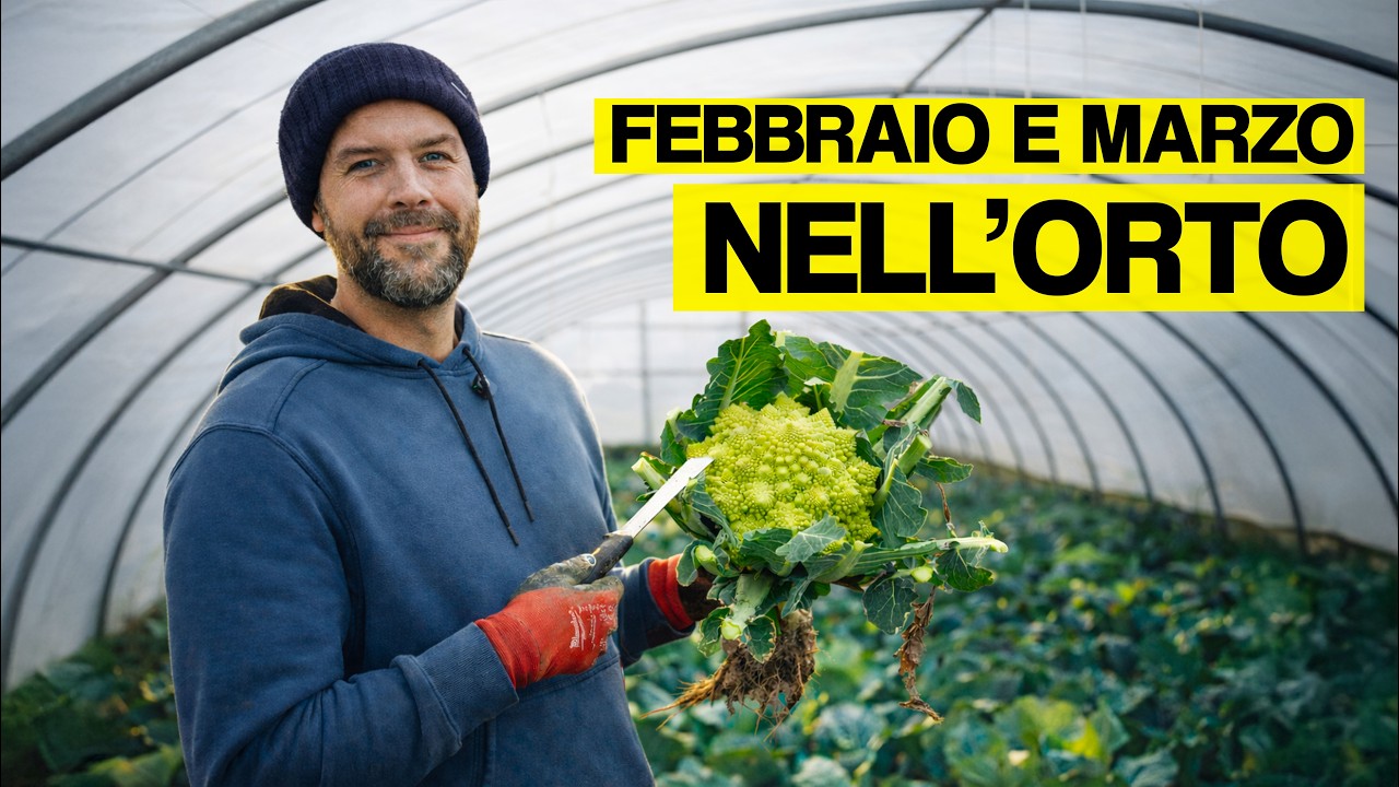 COSA COLTIVARE a FEBBRAIO e MARZO nell'ORTO