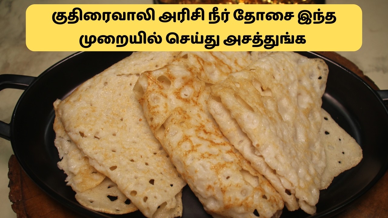 குதிரைவாலி அரிசி நீர் தோசை இந்த முறையில் செய்து அசத்துங்க Kuthiraivali Barnyard Millet Dosa Recipe
