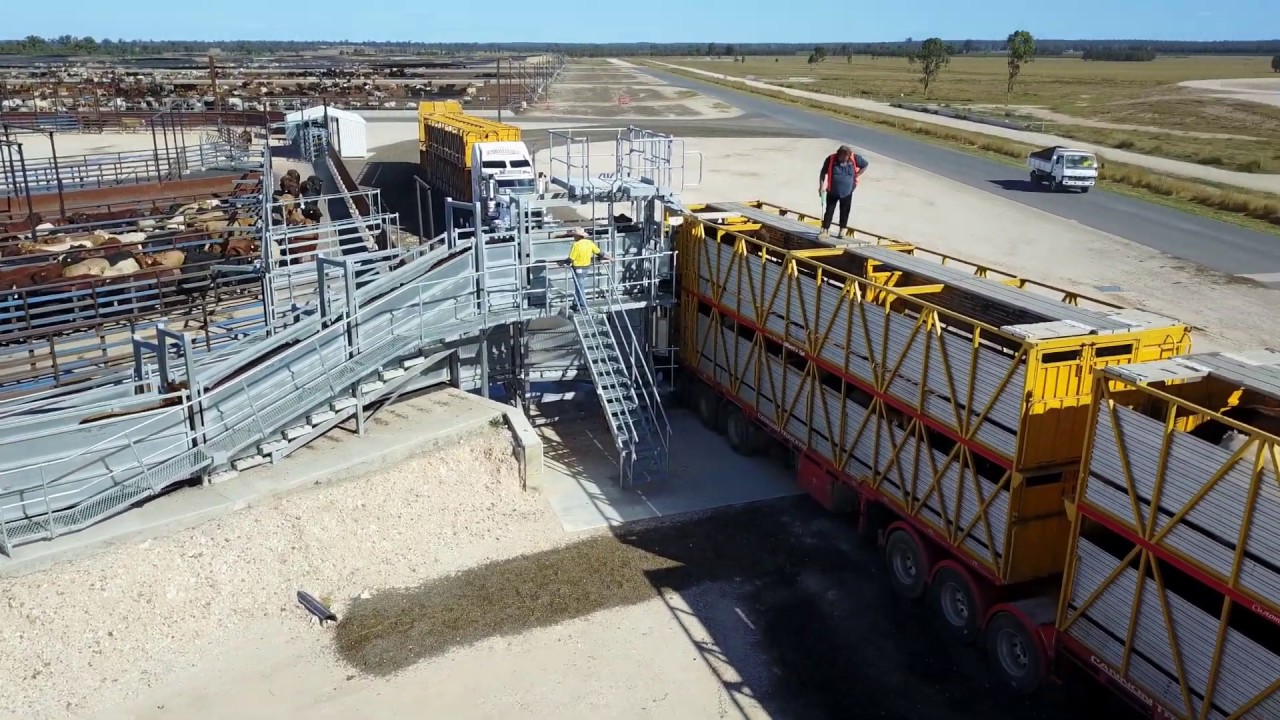 Double Deck Loading Ramp
