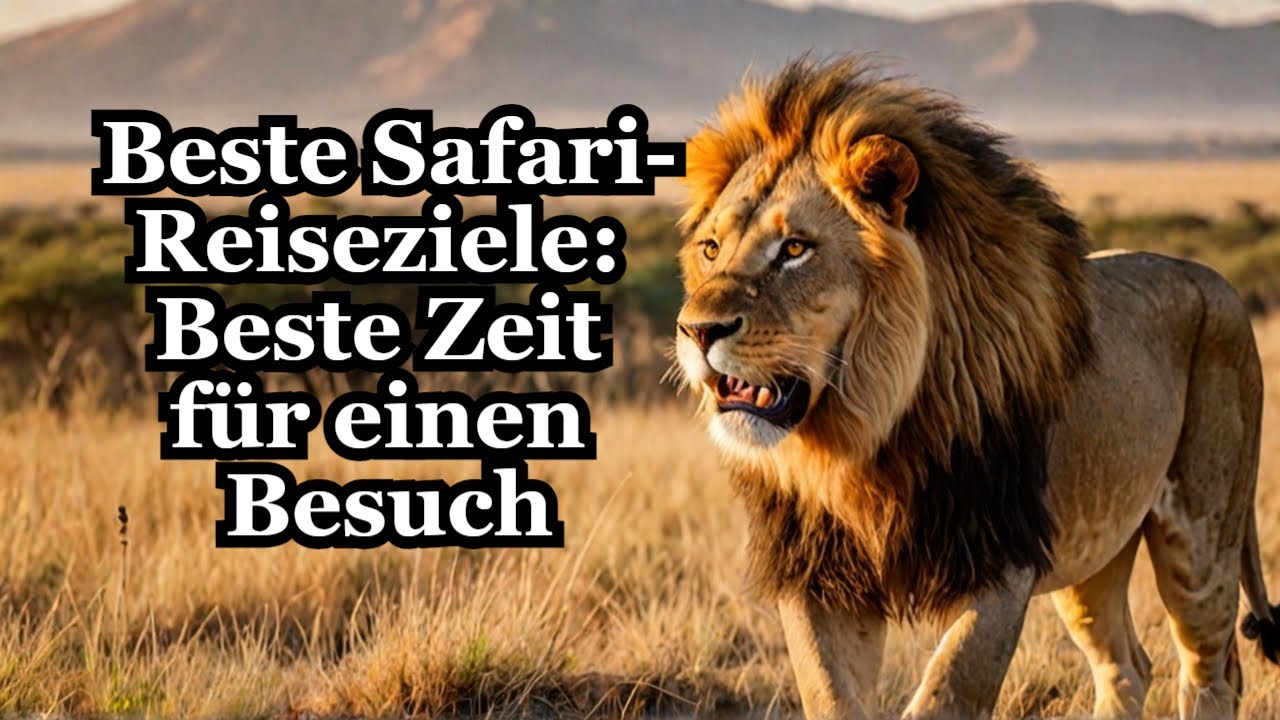 Vermeiden Sie Fehler: Die beste Zeit für den Besuch von Safariparks | #safari #travel