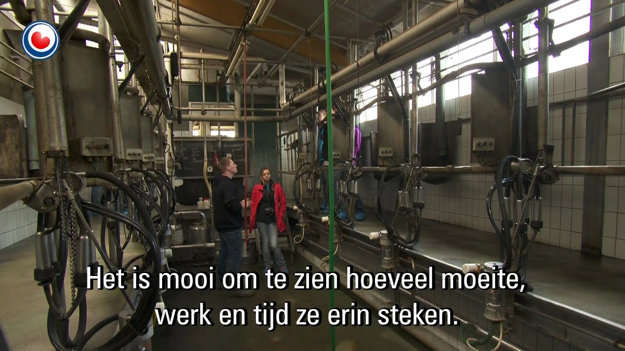 Frysl&acirc;n DOK: Farmers & Ranchers