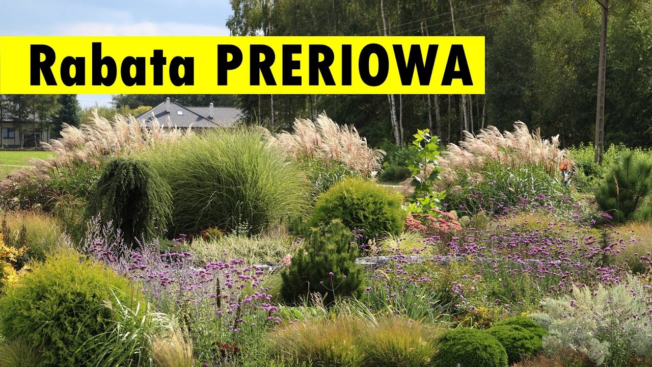Rabata PRERIOWA - czym ją obsadzić oraz jak i gdzie zaaranżować