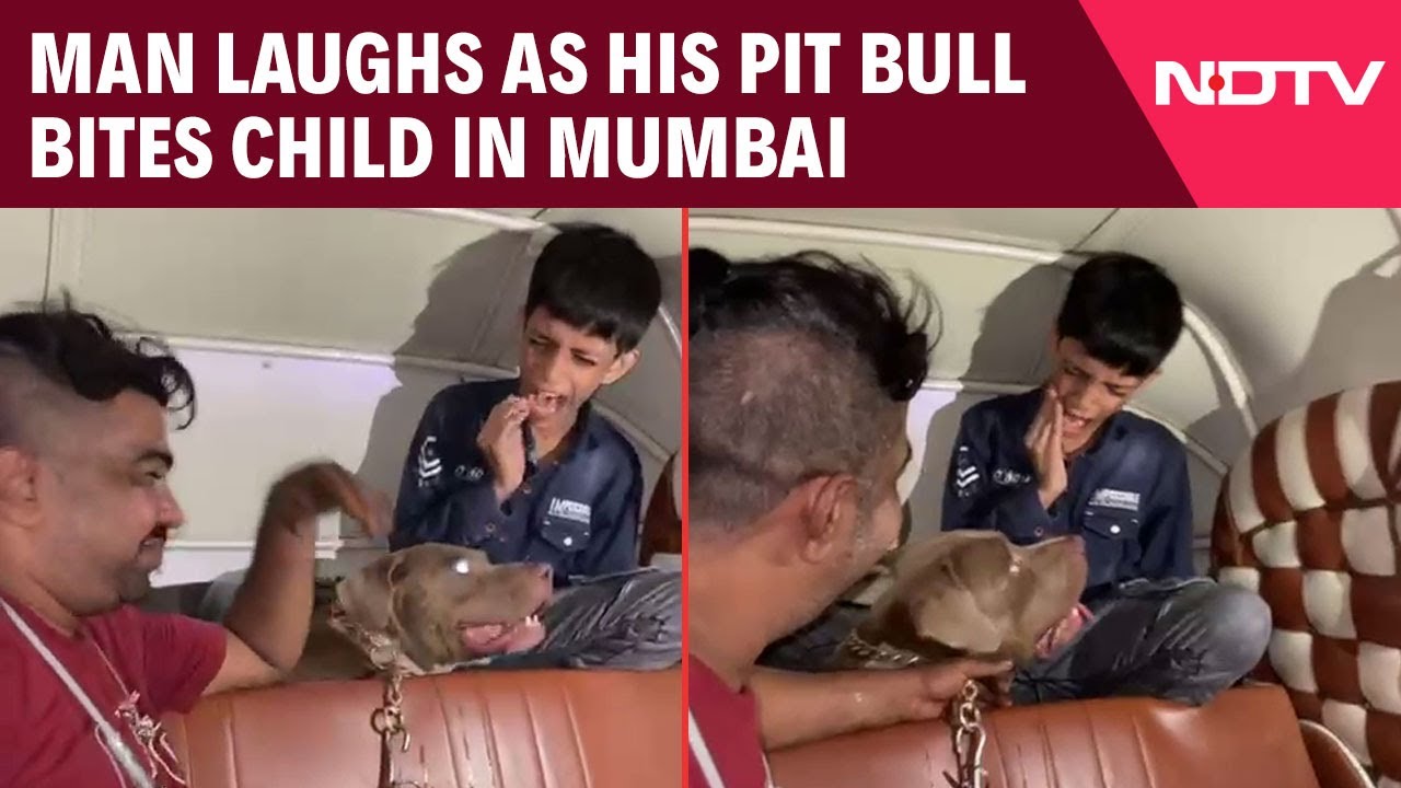 Man Laughs As His Pit Bull Bites Child Inside Auto-Rickshaw In Mumbai