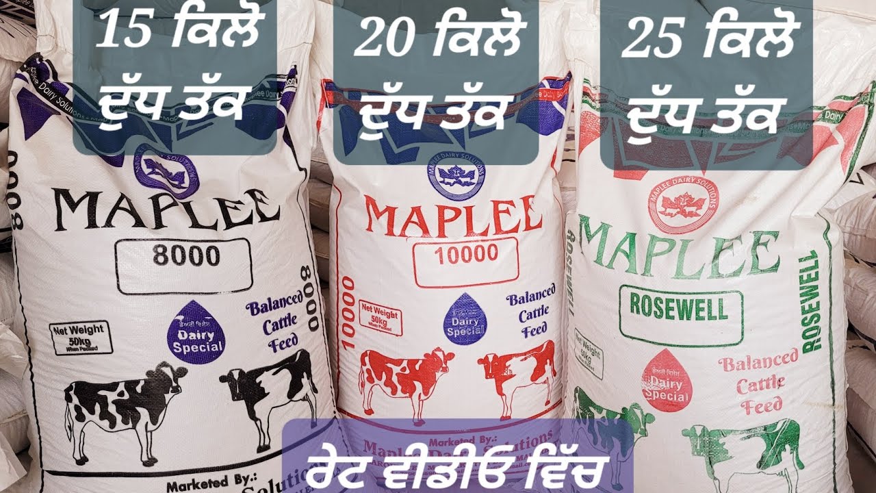 ਮੈਪਲੀ 8000, 10000 ਤੇ ਰੋਜਵੈੱਲ ਫੀਡ ਬਾਰੇ ਜਾਣਕਾਰੀ 98721 87536 Maplee feed 8000, 10000 and Roswell info.
