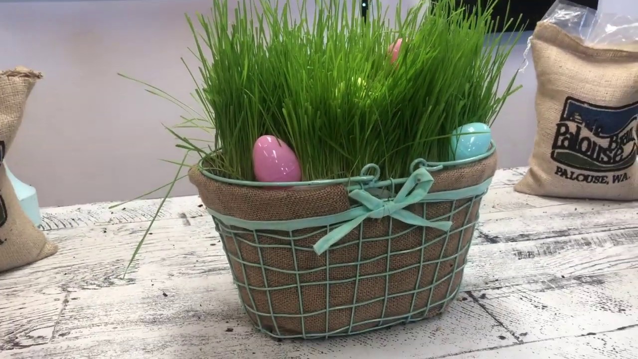 Real Grass Easter Basket Tutorial