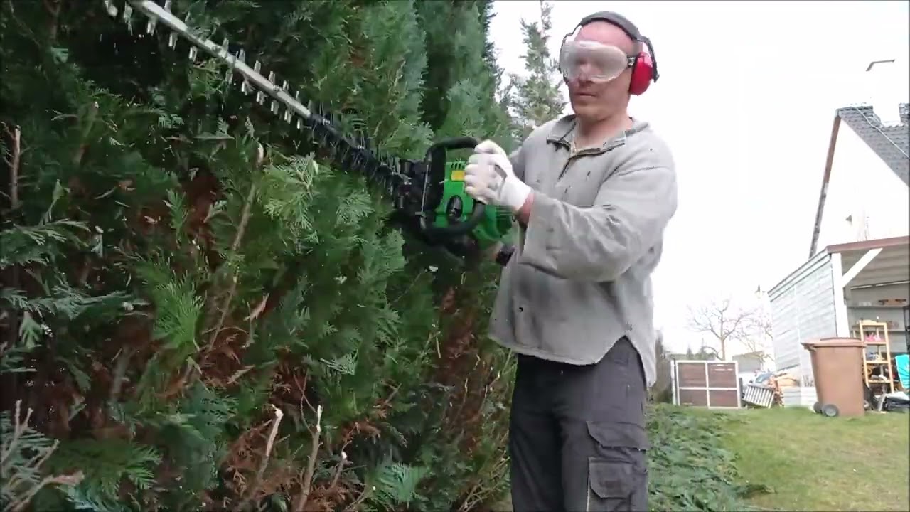 Stříhání tújí.  Cutting thuja