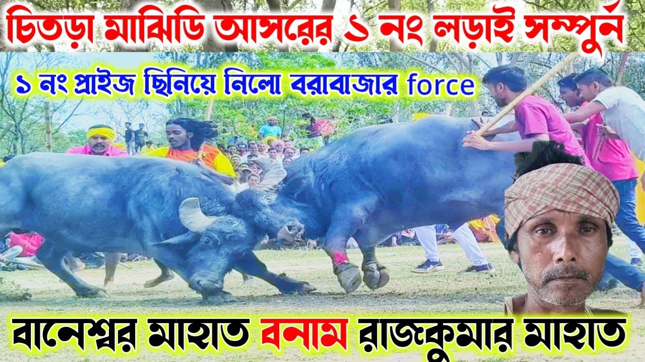বানেশ্বর মাহাত বনাম রাজকুমার মাহাত। চিতড়া মাঝিডি আসরের ১ নং কাড়ার লড়াই সম্পুর্ন দেখুন।