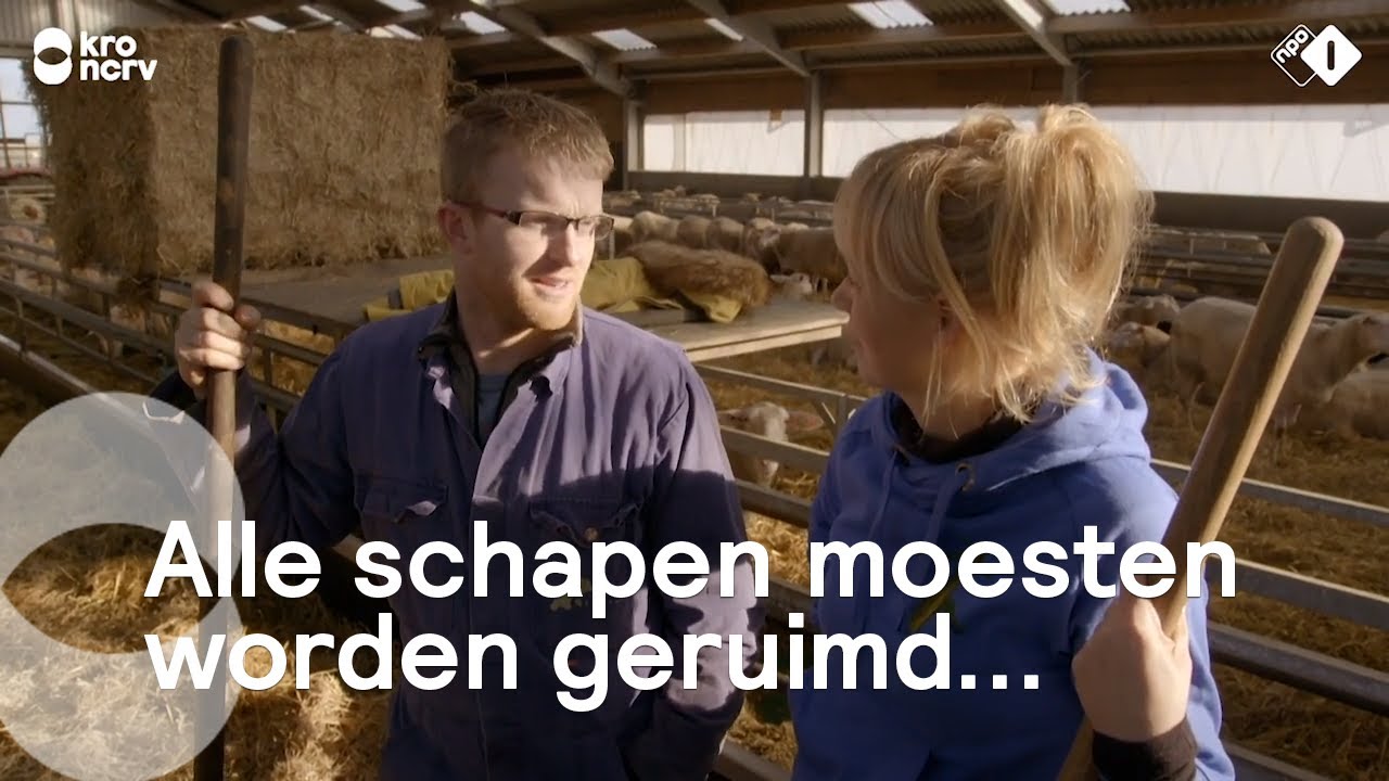 Op bezoek bij Boer Jan en Rianne op Texel | Onze boerderij