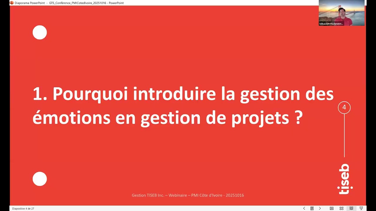 La gestion des émotions en mode projet : le leadership par l'holistique