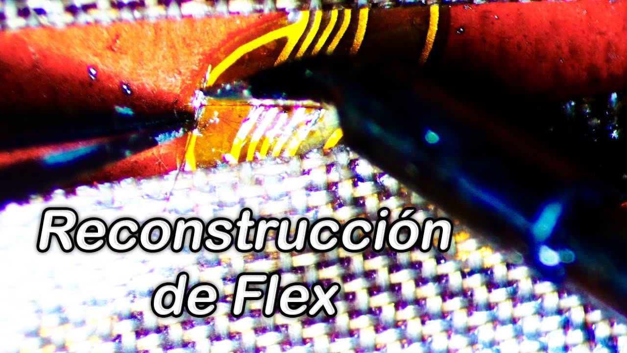 Reconstrucción de Flex