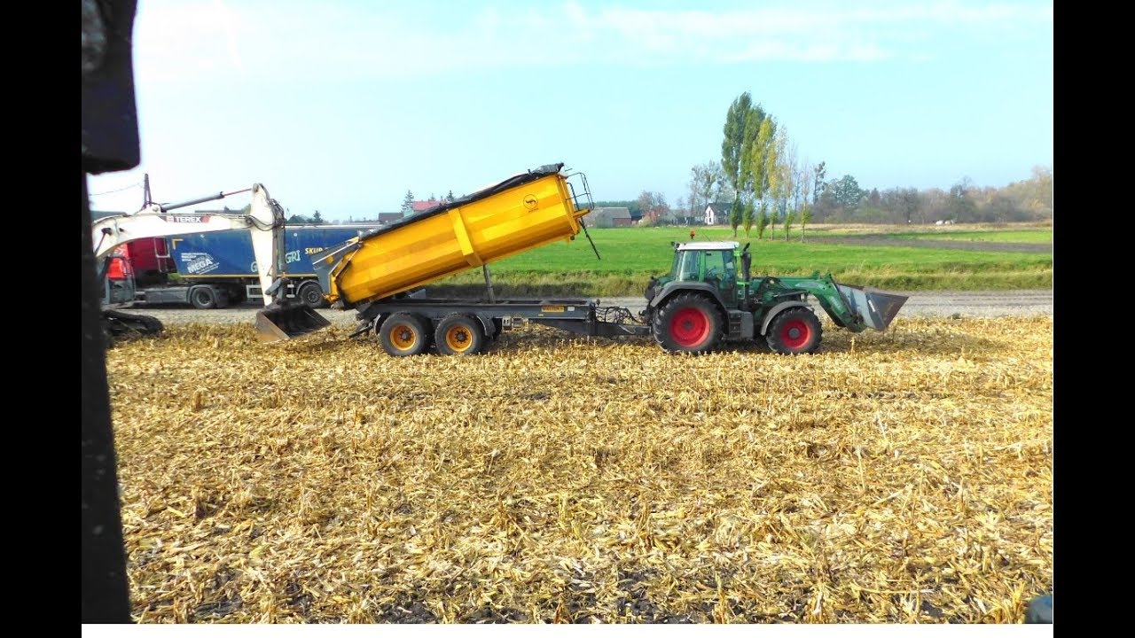 ✅Kukurydza na ziarno 2019 ✅załadunek tira koparką ✅ Gr Kaczmarek✅Sprzedaż przyczep