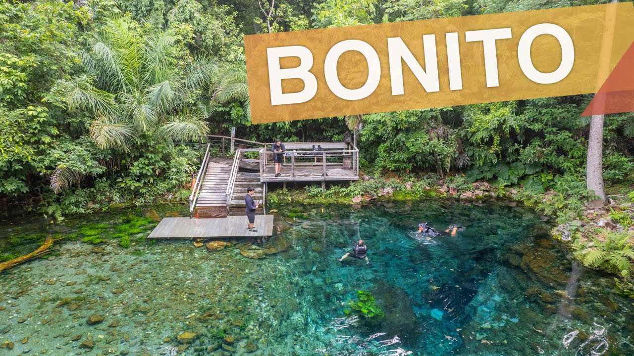 Bonito - Mato Grosso do Sul :: As melhores flutuações de Bonito e região :: 3em3