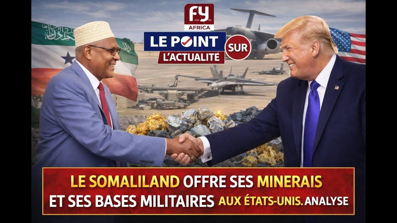 LE SOMALILAND OFFRE SES MINERAIS ET SES BASES MILITAIRES AUX ÉTATS-UNIS. ANALYSE
