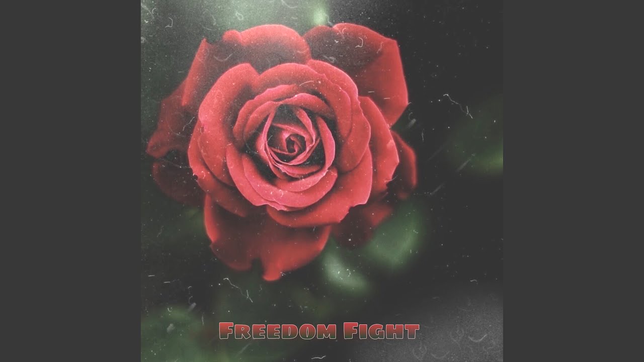 Freedom Fight