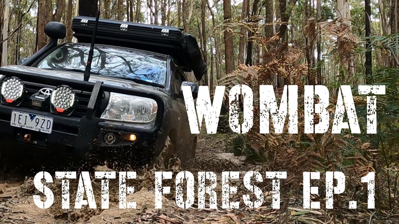 WOMBAT State Forest Ep.1