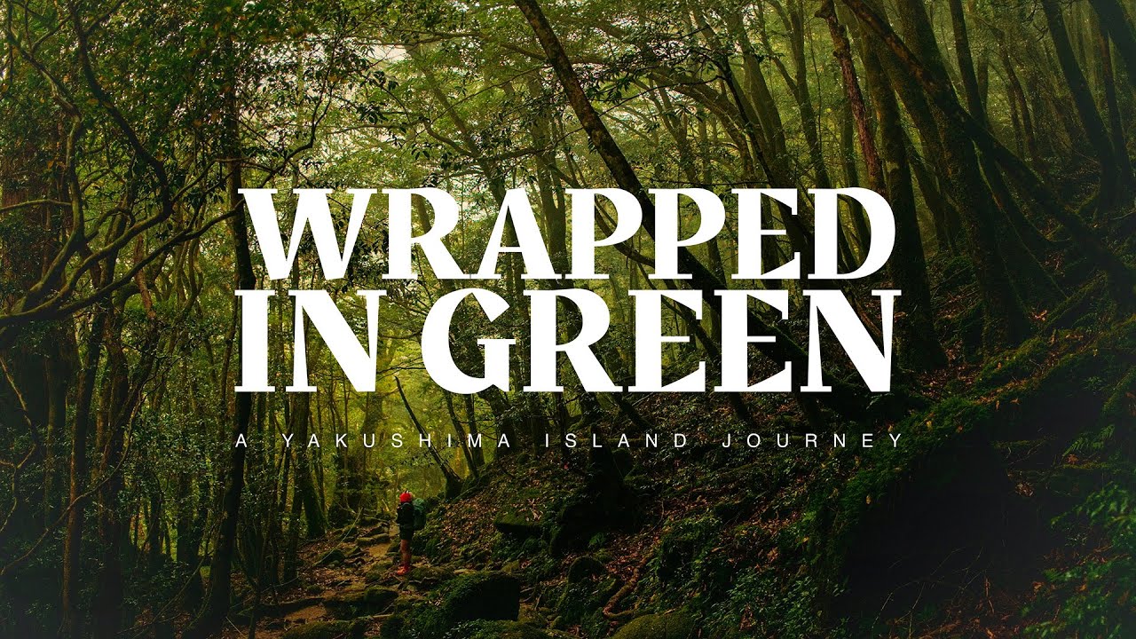WRAPPED IN GREEN - A YAKUSHIMA ISLAND JOURNEY in collaboration with Elina Osborne