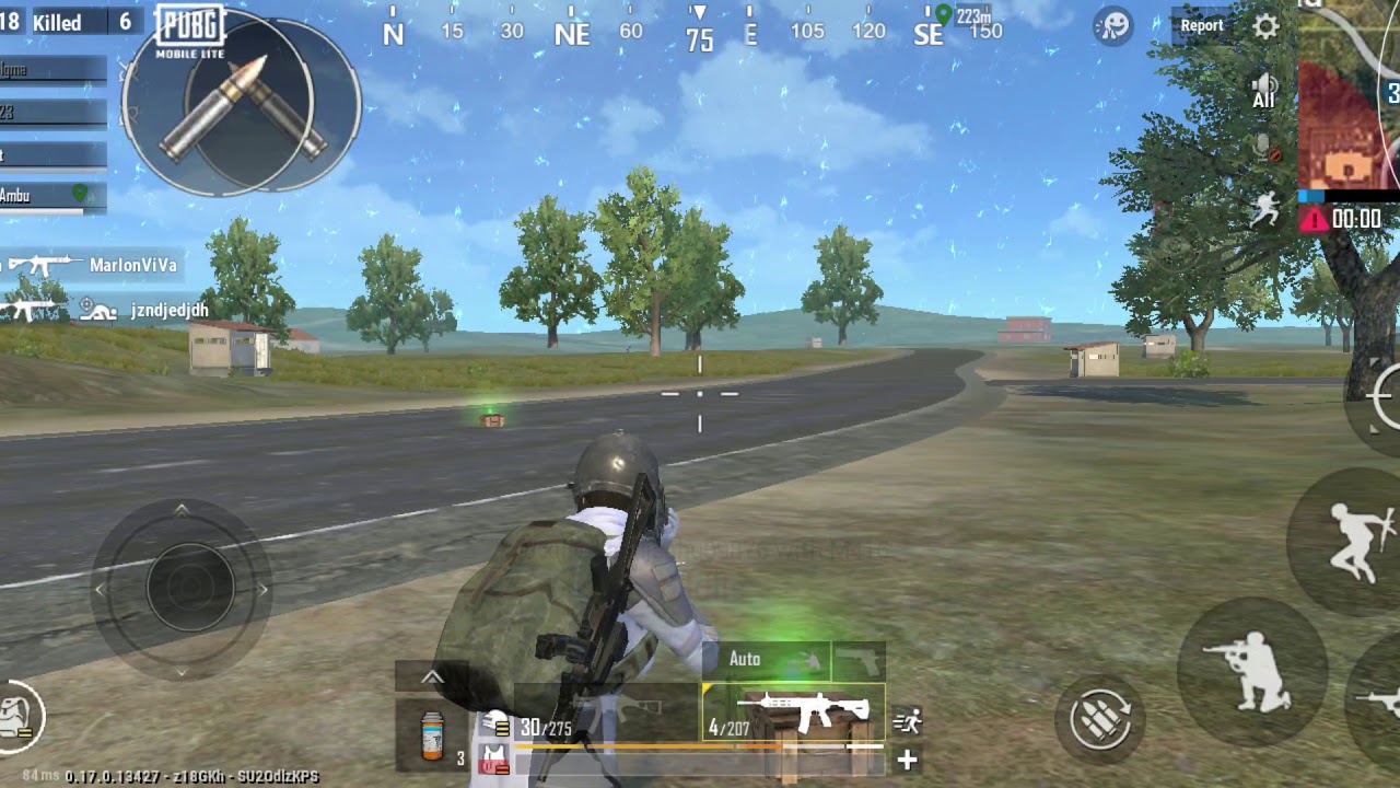 Pubgs