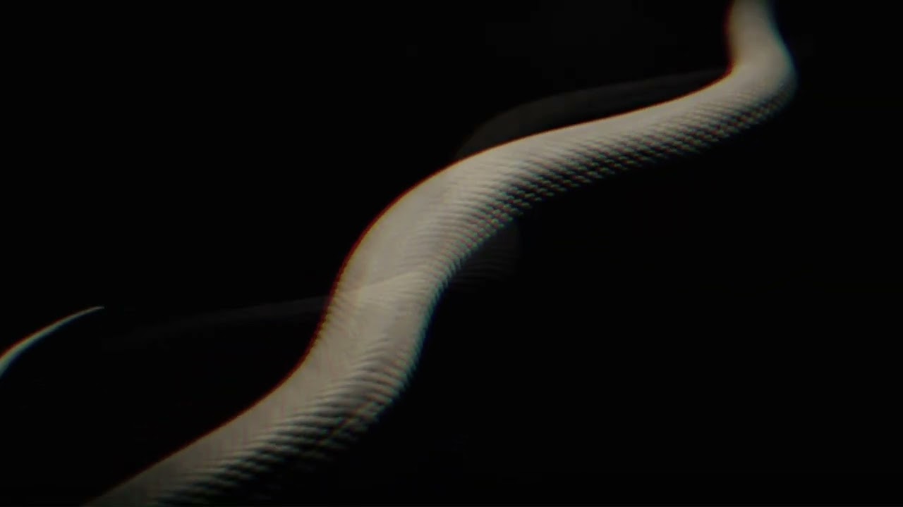 Halszka - Calling from the Black Woods [Official Visualizer] 04
