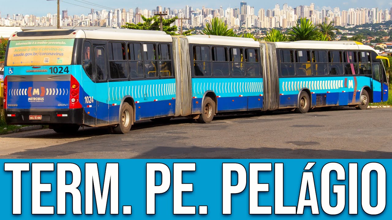 Terminal Padre Pelágio (Goiânia/GO) - Movimentação de Ônibus #352