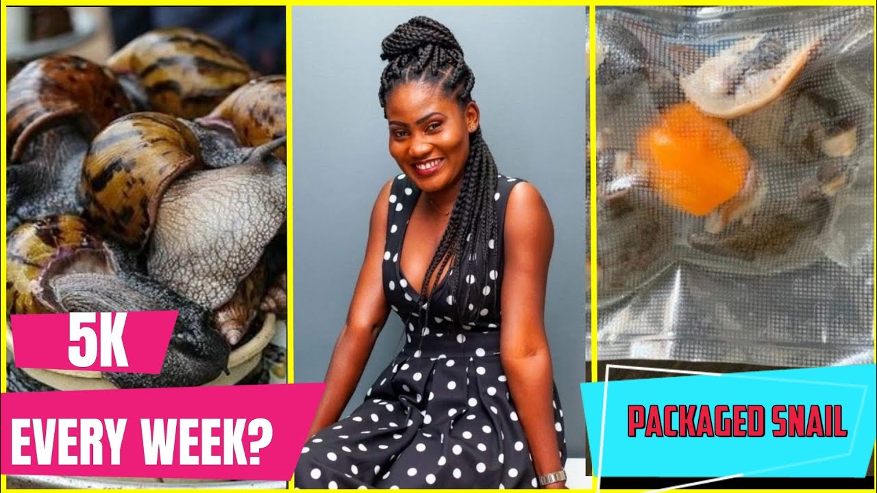 CIVIL ENGINEER TURNS SNAIL FARMER || MAKE 5K WEEKLY SALES FROM PACKAGING & SELLING SNAIL.