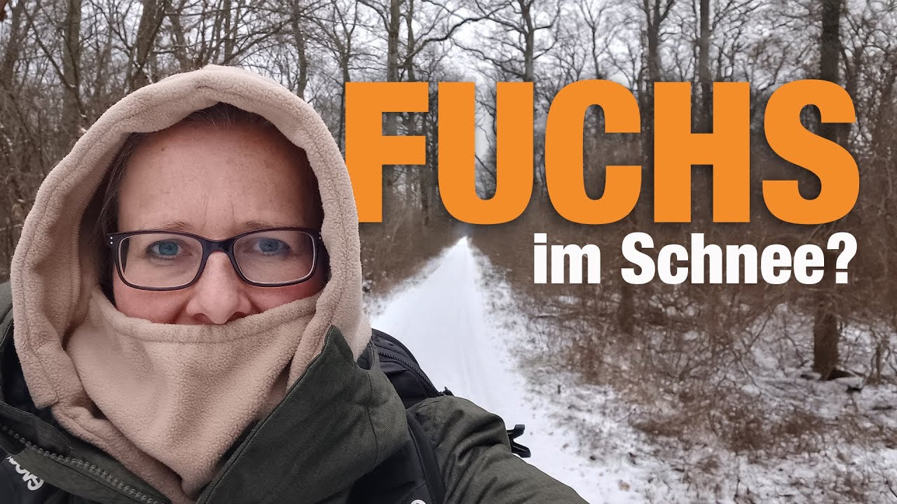 Wunschmotiv: Fuchs im Schnee - werde ich es schaffen? Tipps wie ich vorgehe und was ich beachte.