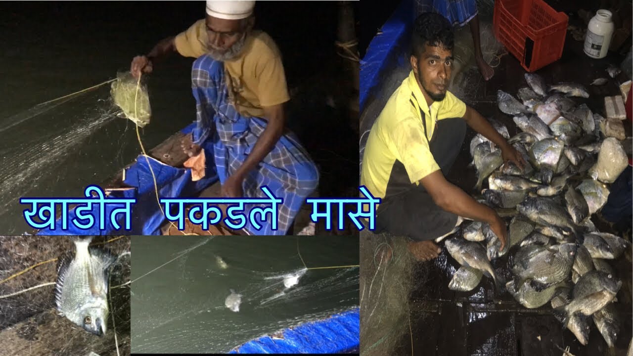 खाडी में मिला मछलियों का खज़ाना.black bream fishing in deep sea 🌊.#fishing #fish #kokan