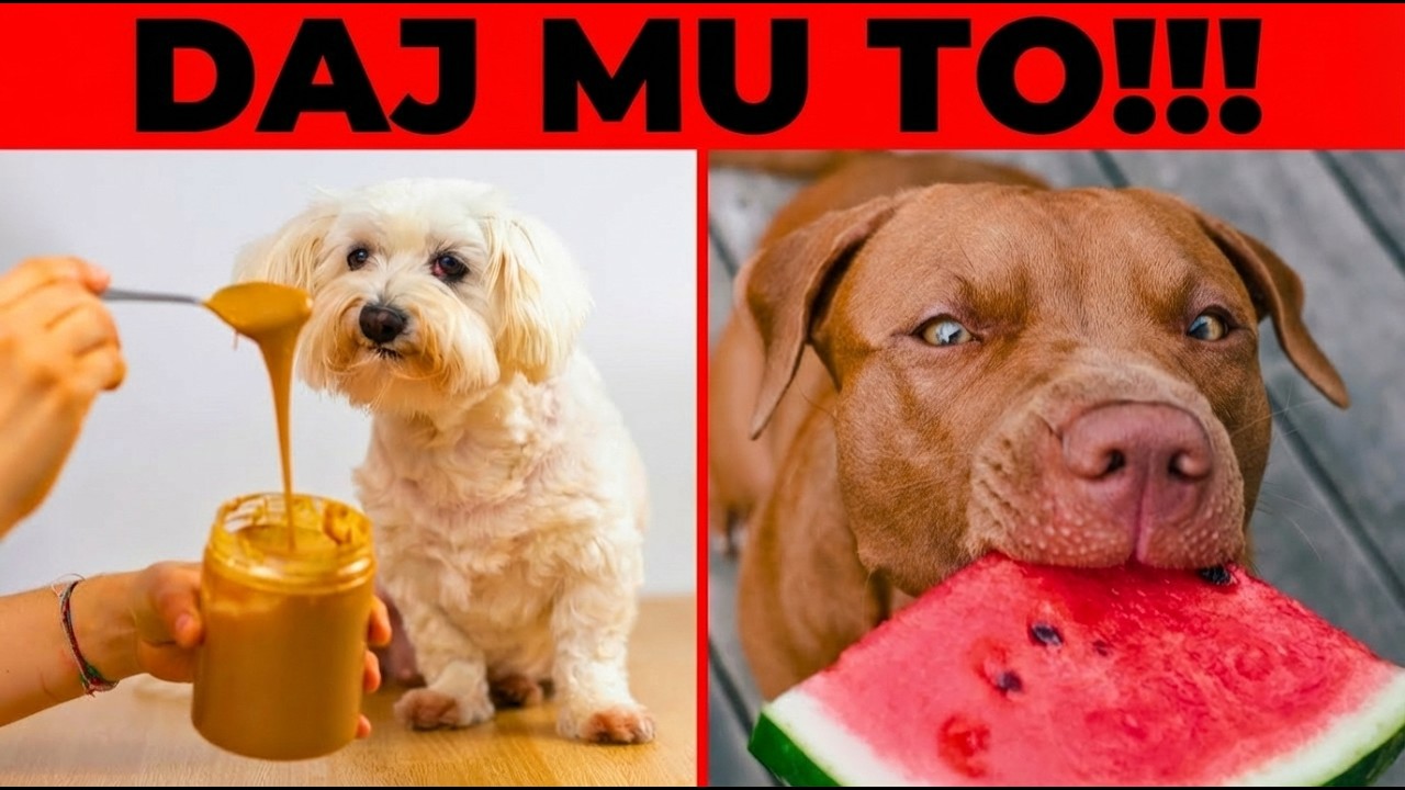 12 Namirnica Za Ljude Koje Su Zaista Dobre Za Pse