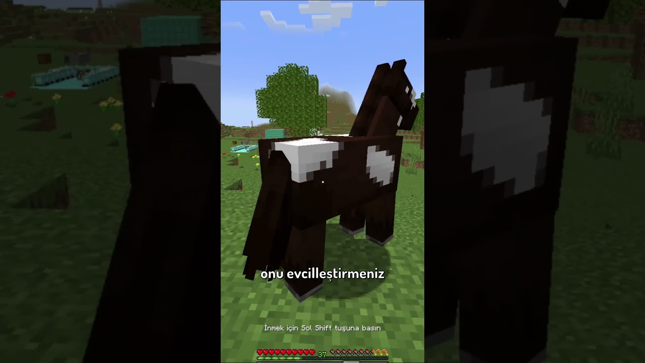 Minecraft'ta At Nasıl S&uuml;r&uuml;l&uuml;r?! #minecraft #shorts