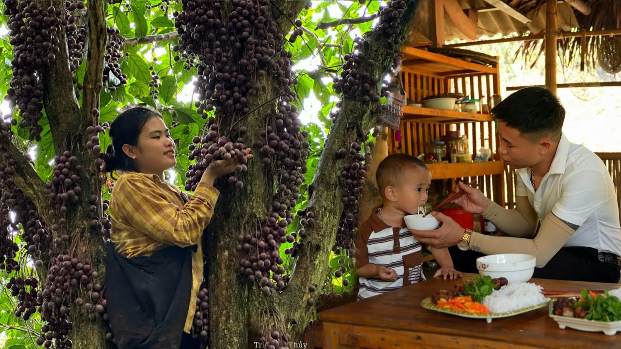 ''Nature Gives Unique Fruits - Thuy Harvested and Taken to Market for Sale''.