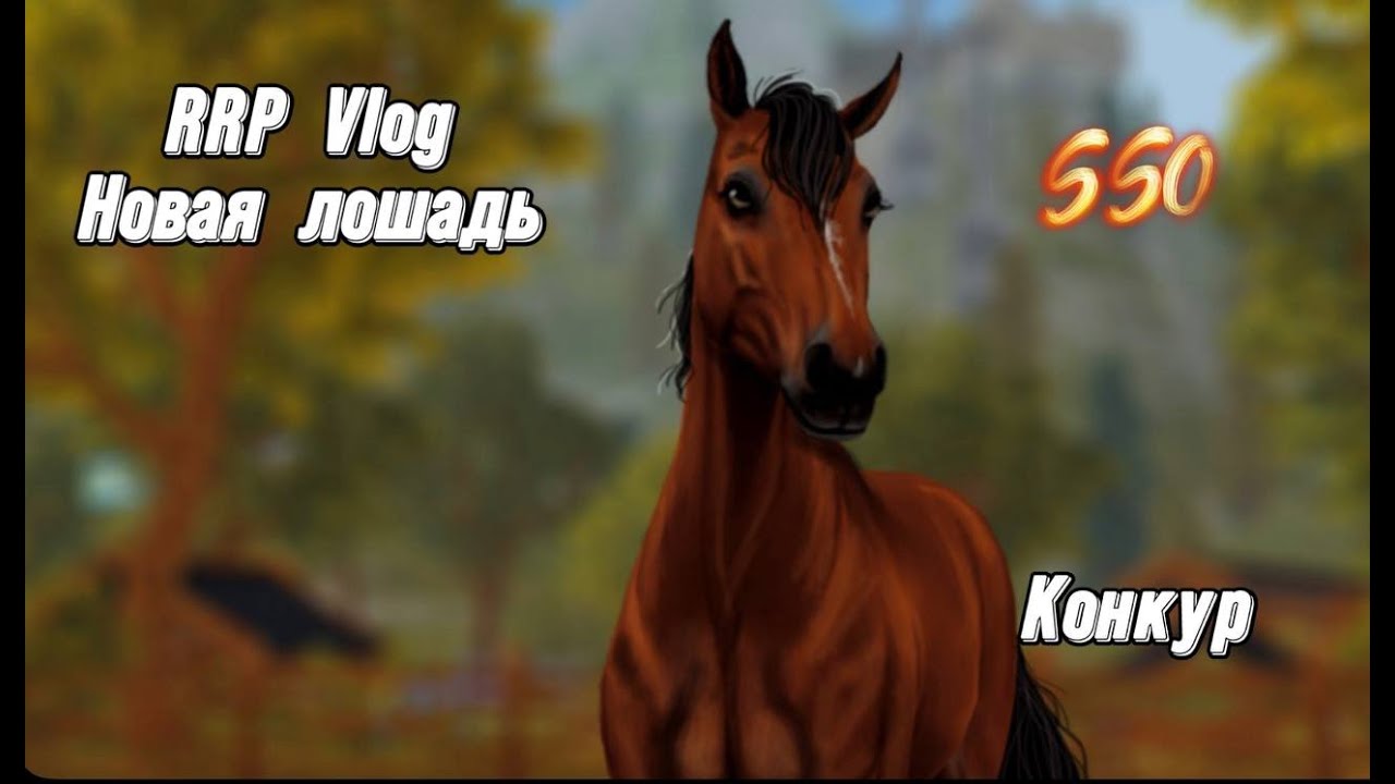 RRP Vlog|Star Stable|Новая лошадь?|Конкурная тренировка|