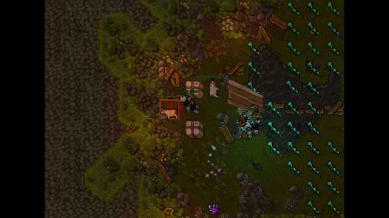 Skillowanie na facc - Mushroom Sniffer