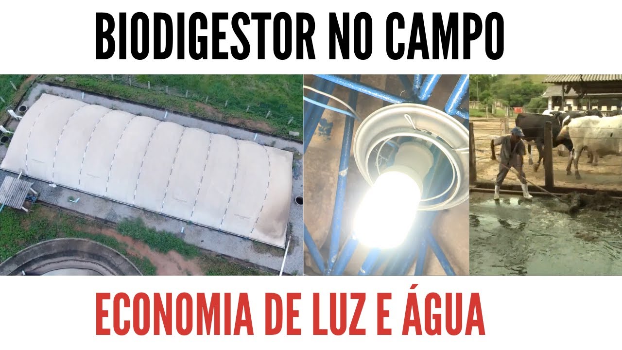 Biodigestor Criado pela EMBRAPA produz Energia Elétrica e Proporciona Economia de 90% de Água!