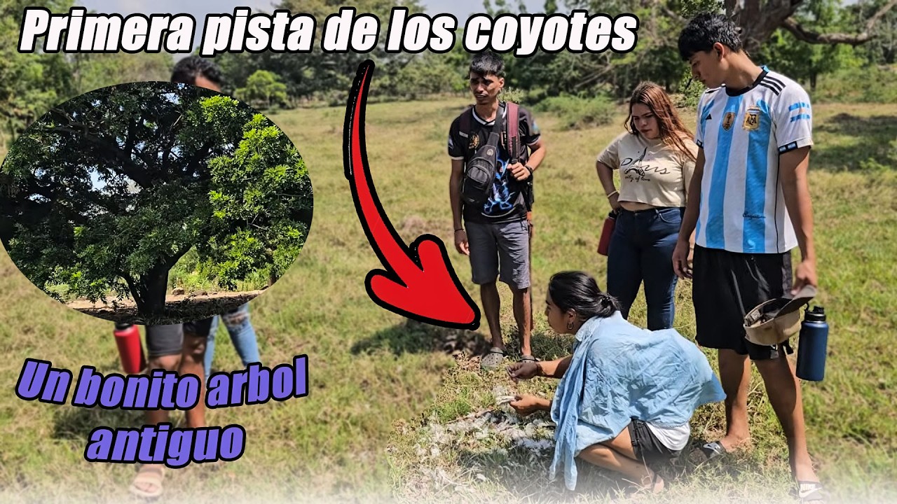 Estamos cerca de la misteriosa cueva donde se oculta la manada😱