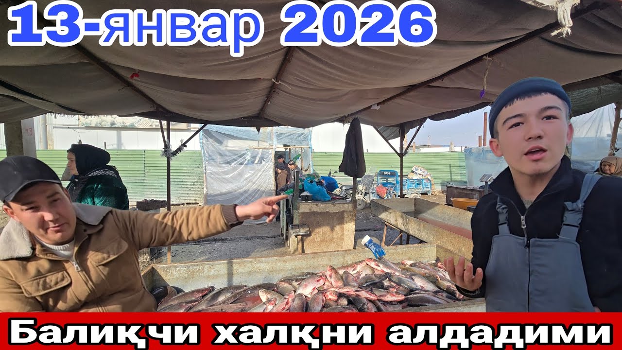 ТЕЗКОР ХАБАР БАЛИҚЧИ БОЛА ХАЛҚНИ АЛДАДИМИ ЁКИ МИШ МИШМИ КЎРАМИЗ 😱#automobile #rek 