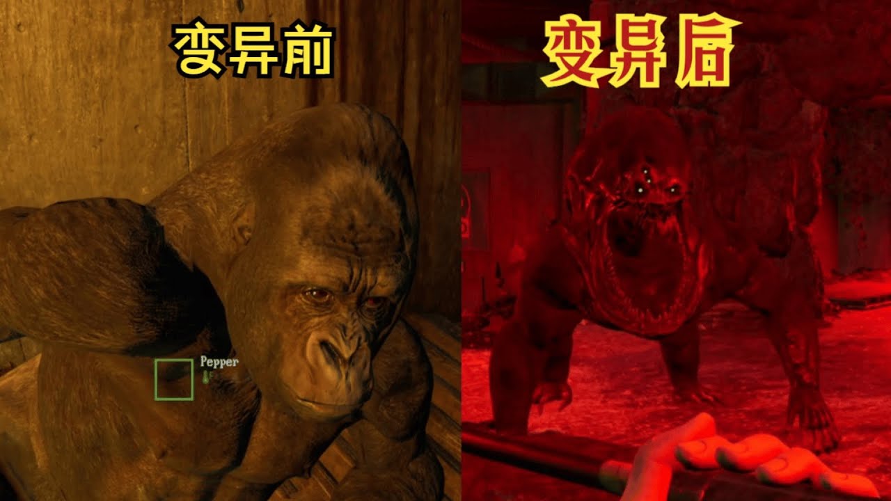 神秘寄生虫让所有生物变异！你要保护你的动物！！！【沙拉罐头鱼】#zoochosis #癫狂动物园 #生存游戏