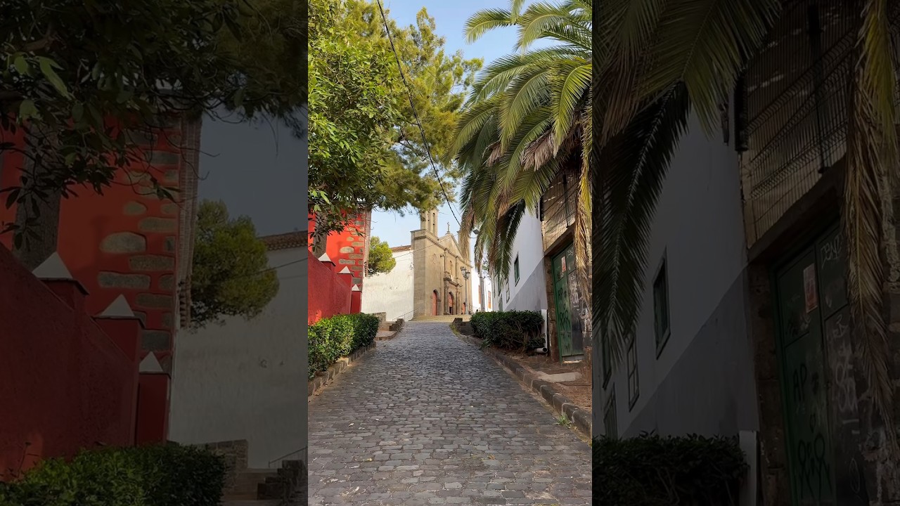 Tacoronte, Tenerife