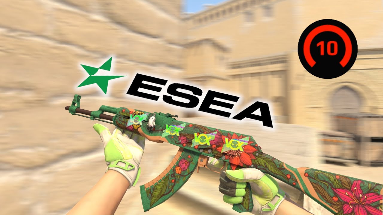 ESEA Intermediate | highlights
