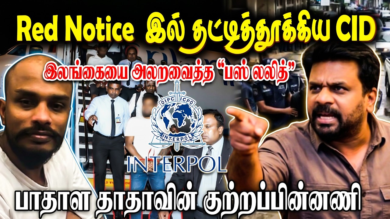 Red Notice-ல் தூக்கிய CID! இலங்கையை அலறவைத்த 'பஸ் லலித்'  | Roshani View | #Srilanka | #tamilnews