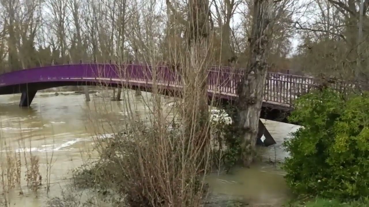 3 semanas lloviendo 🌧️ sin descanso, Río Carrión desbordado y Huerto encharcado 🌊 #palencia