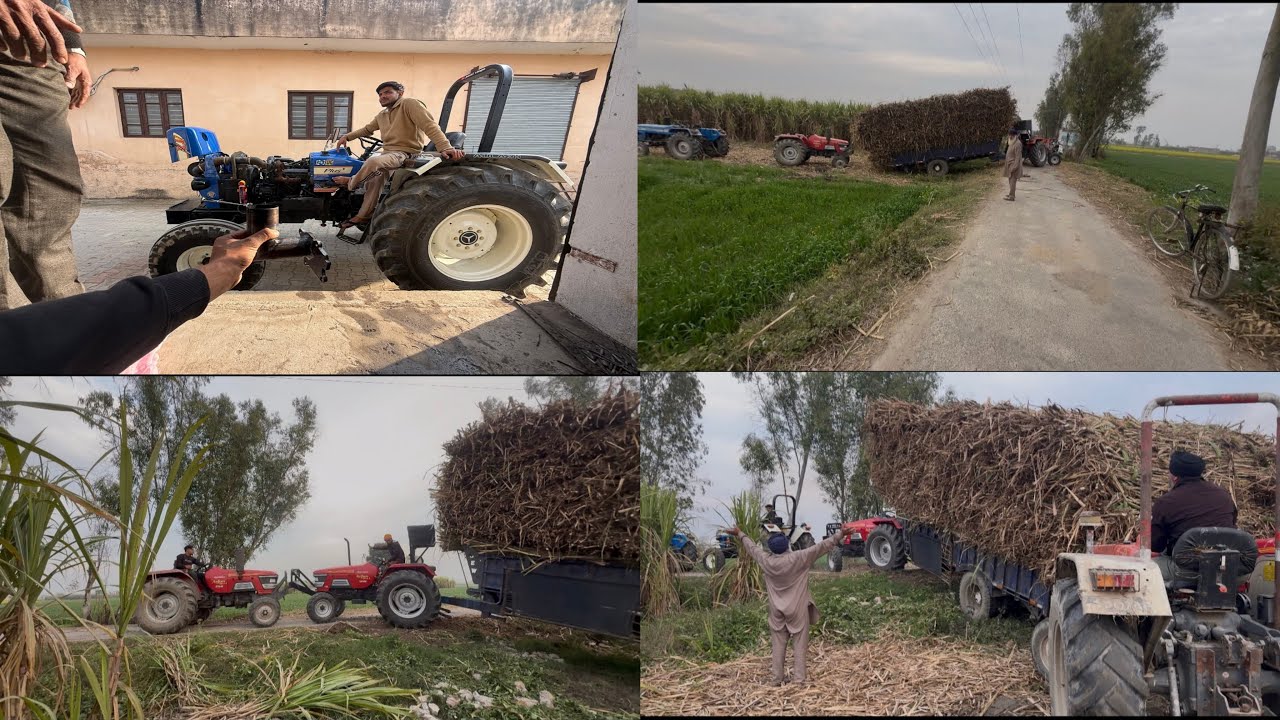 Ajj siti di setting kra ti / Ganne di trali fass gyi full zor chek / janti vlogs 146🚩