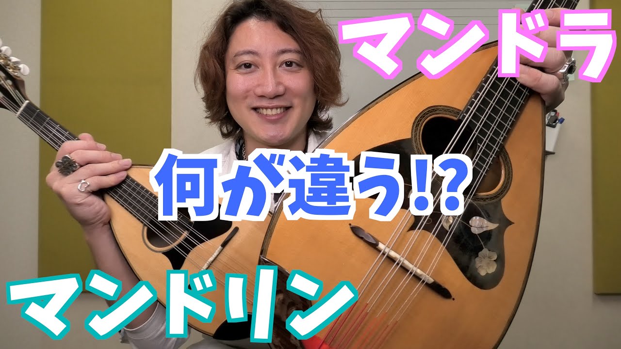 マンドリンとマンドラの違いについて紹介しました