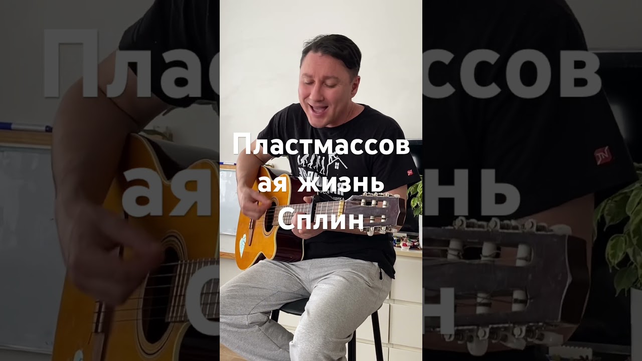 Пластмассовая жизнь - Аероффлотт кавер#гитара #cover #игратьнагитаре #урокигитарыонлайн #сплин