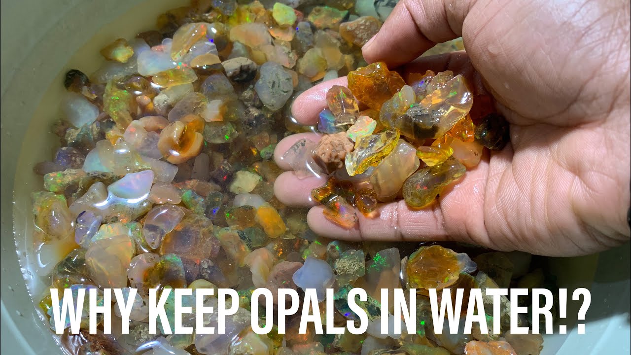 WHY DO PEOPLE KEEP OPALS IN WATER 🤔 (Crystal city hunting adventures)