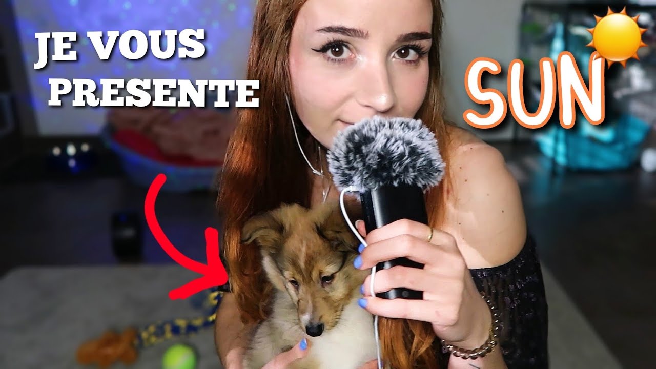 ASMR - J'adopte un chien ❤️