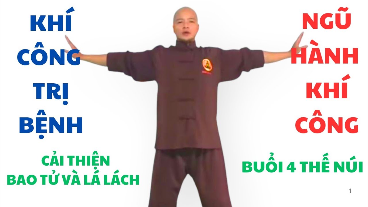 Khí Công Chữa Bệnh - Ngũ Hành Khí Công - buổi 4 thực hành thế núi ( cải thiện bao tử và lá lách )