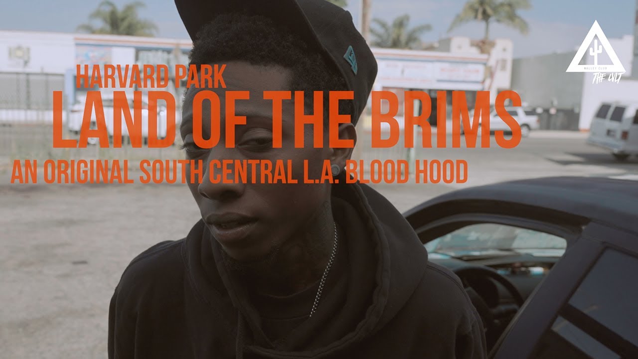 CALIFORNIA HOOD TOUR: HARVARD PARK (BRIMS BLOODS)