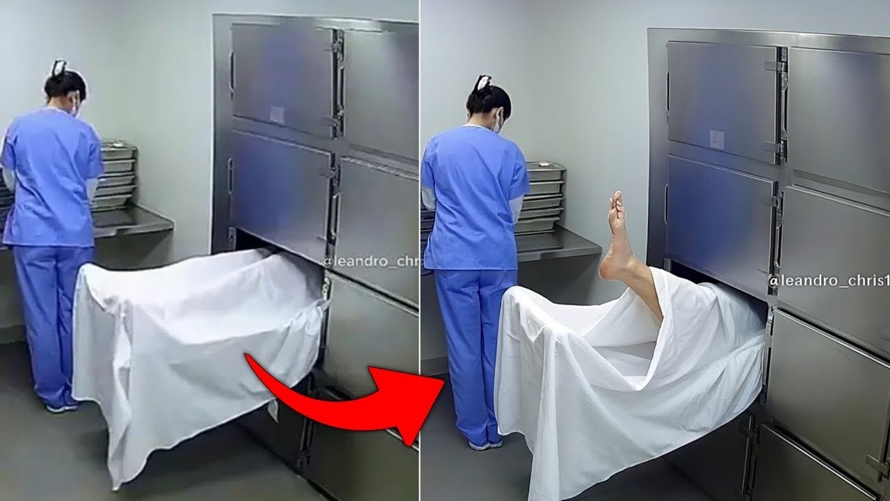 7 Momentos de TERROR REAL EXTREMO que la Gente No Debería Haber Grabado 😰 2026