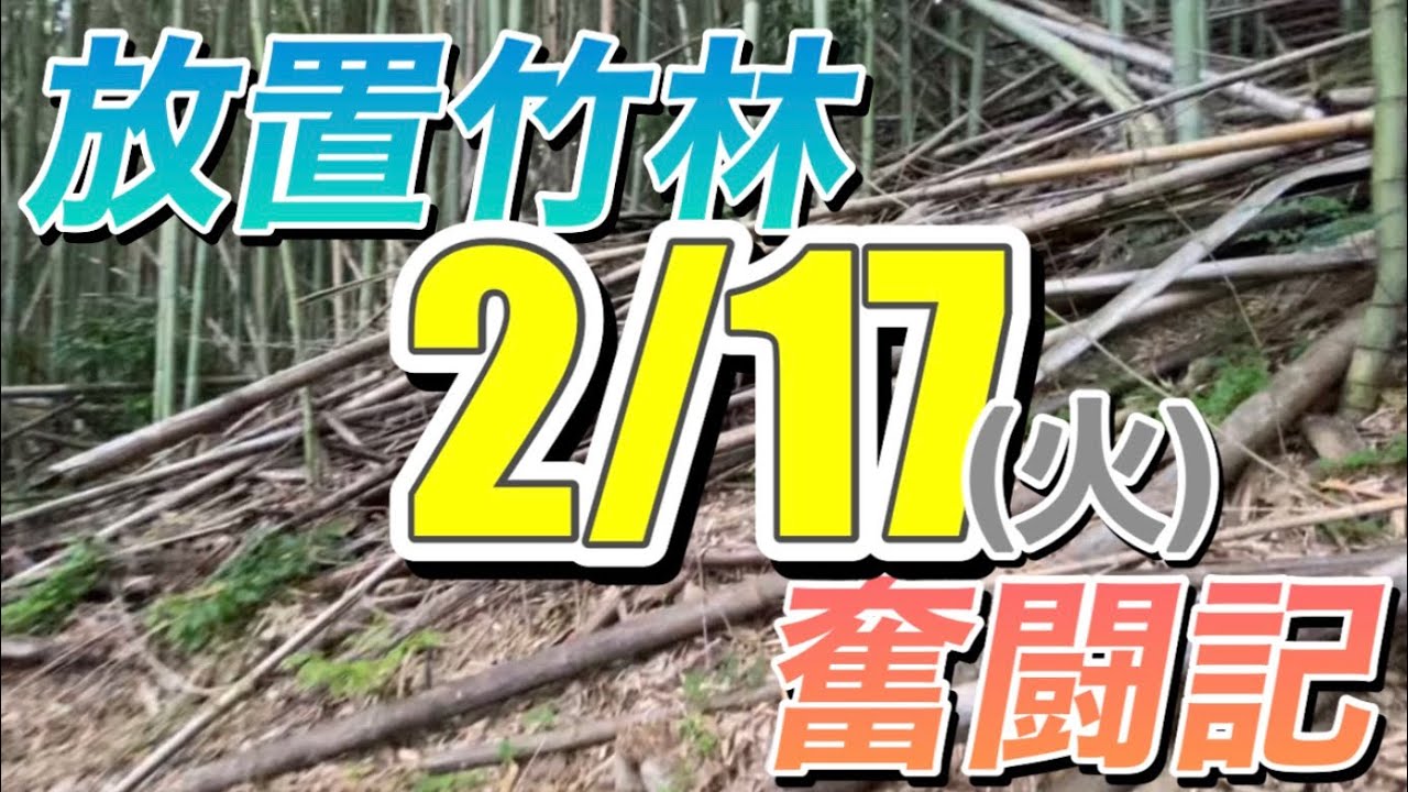 放置竹林奮闘記【早期退職者が竹を焼く日々】2026/02/17